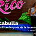 Buscabulla y Puerto Rico después de la tormenta