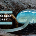 Enhebrar la casa poemas de Vielsi Arias Peraza