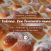 La Talvina. Ese fermento nuestro