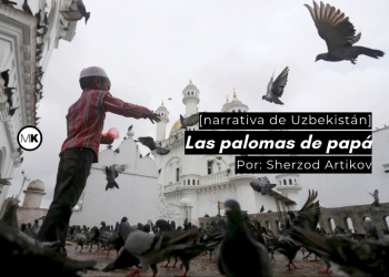 Las palomas de papá